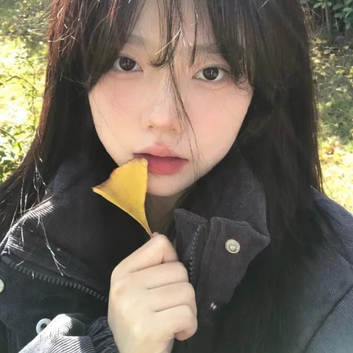 天狼星的传说