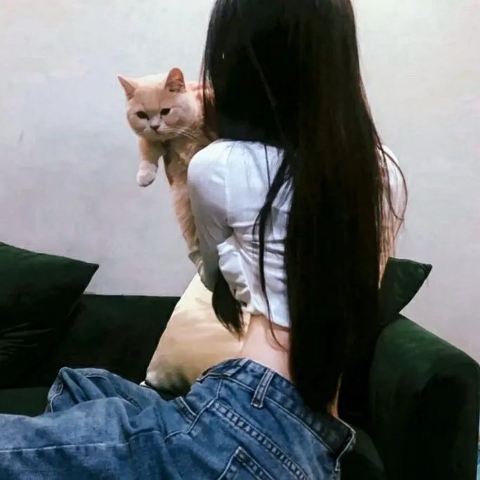 火线追凶之血色刀锋